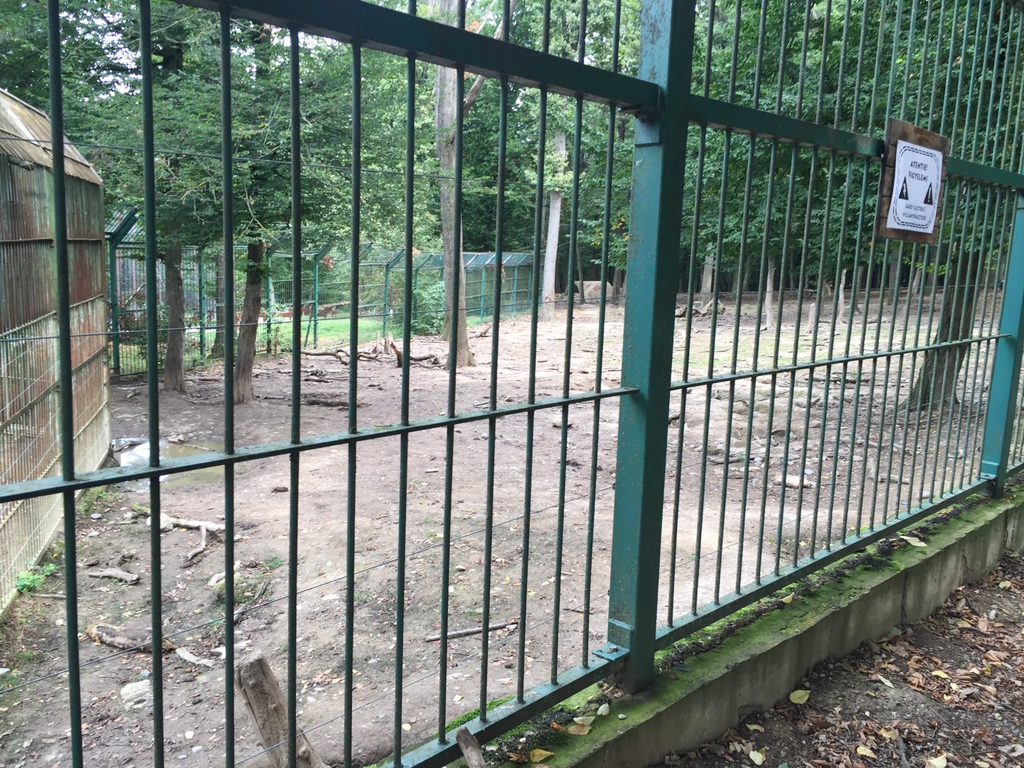 Zoo Târgu-Mures 27.08.2021.