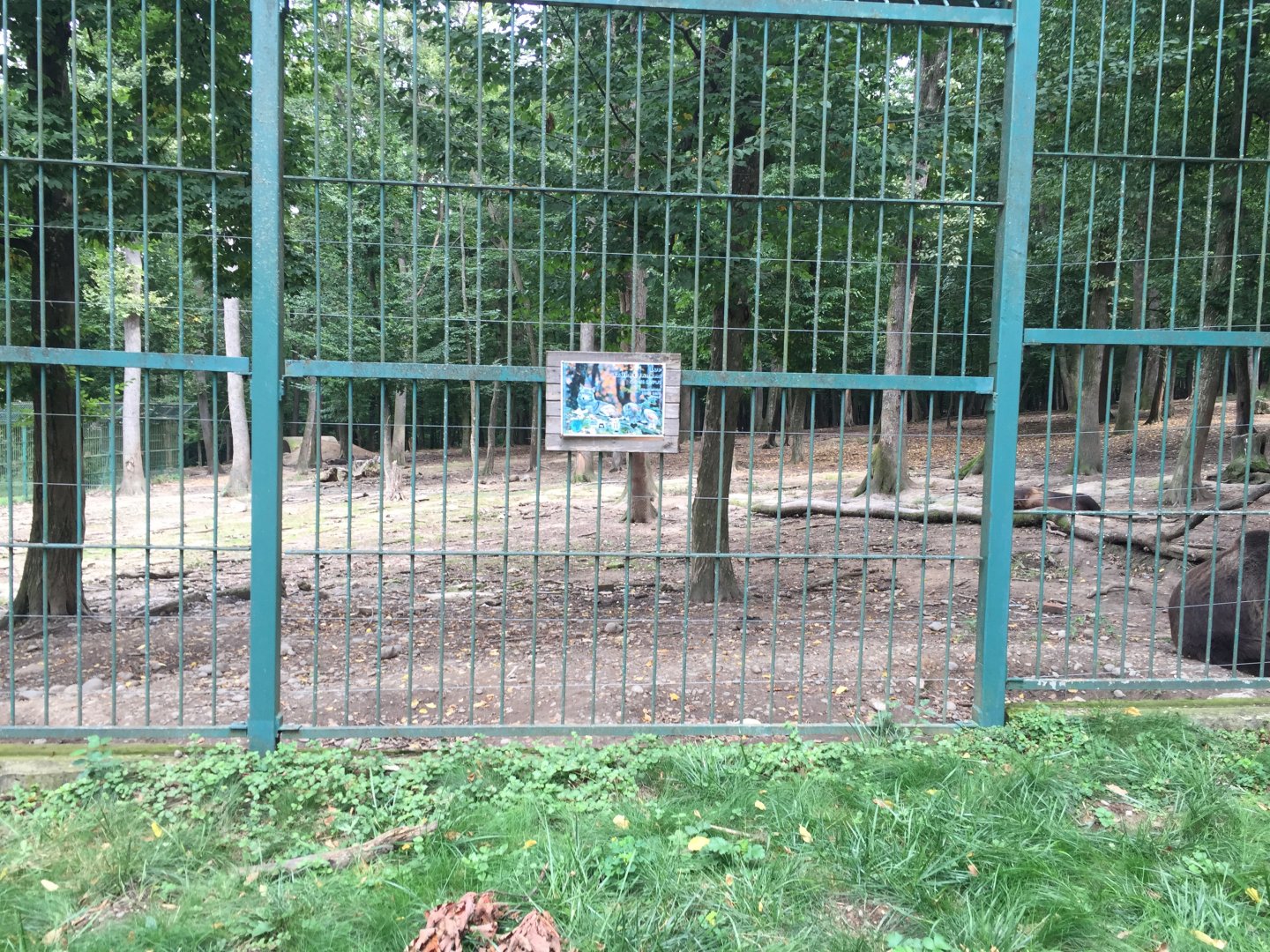 Zoo Târgu-Mures 27.08.2021.