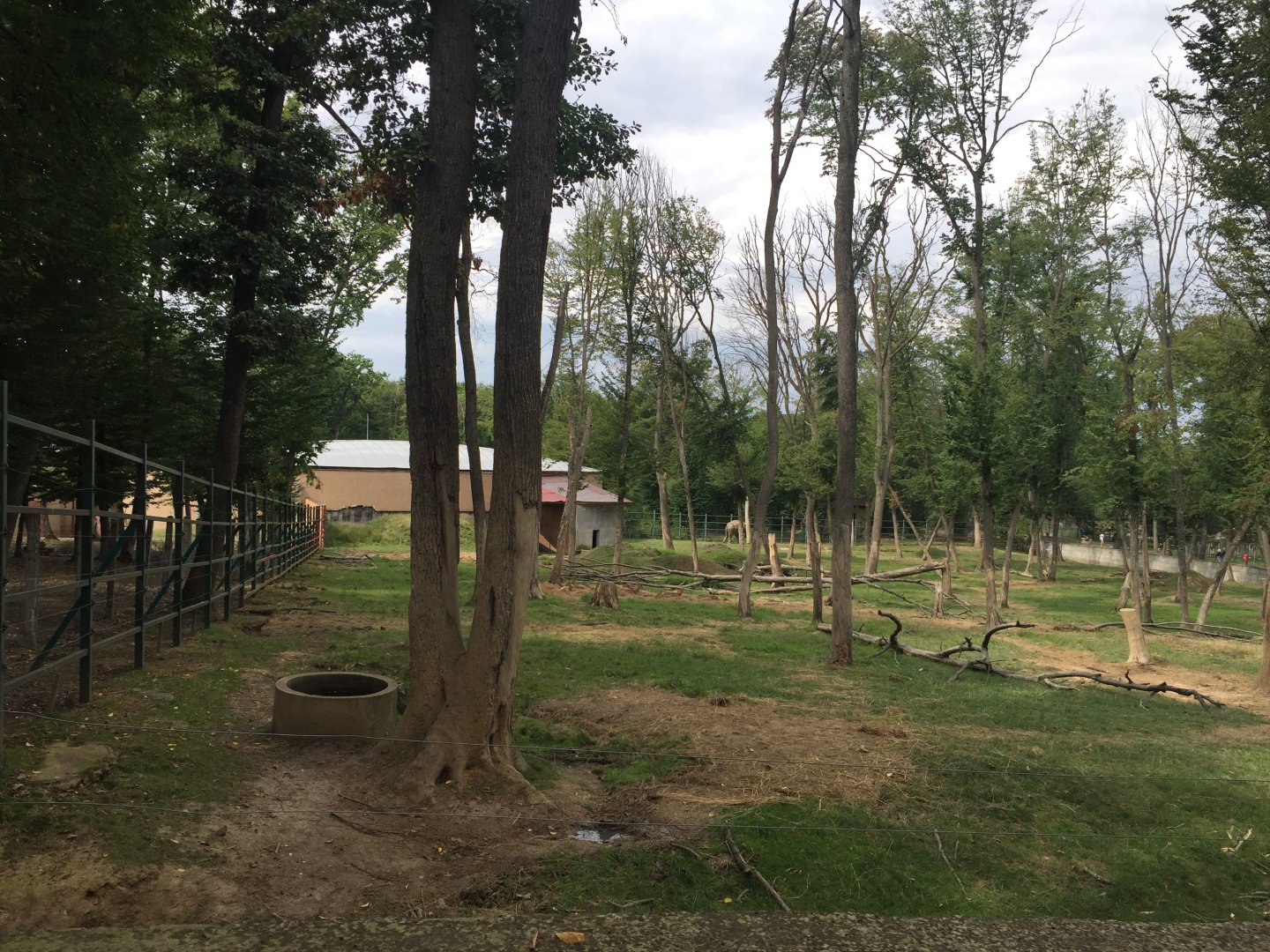 Zoo Târgu-Mures 27.08.2021.