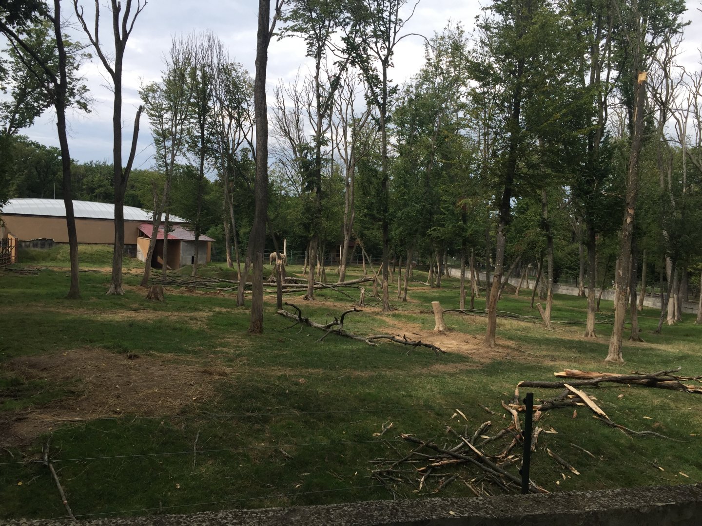 Zoo Târgu-Mures 27.08.2021.