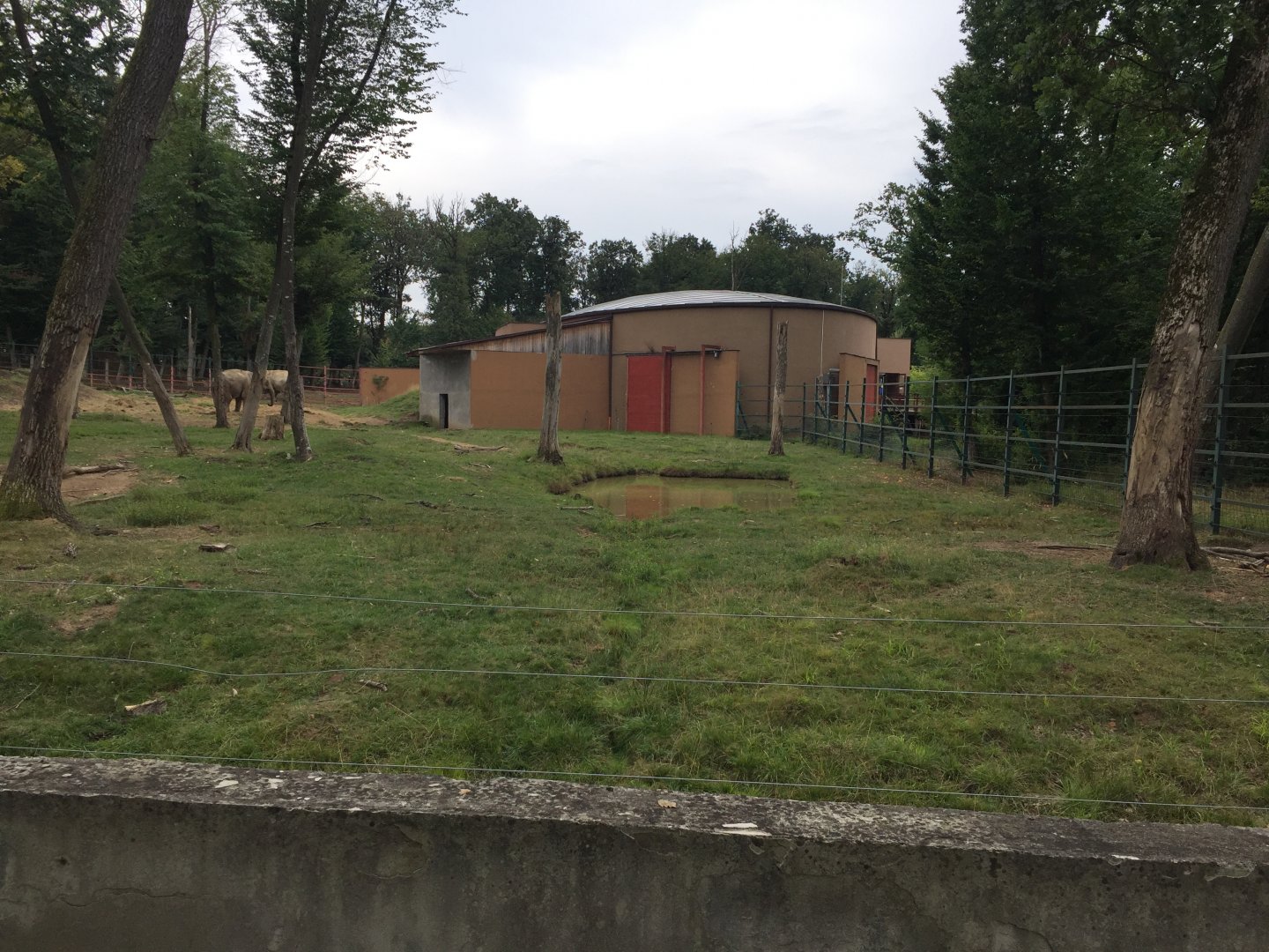 Zoo Târgu-Mures 27.08.2021.