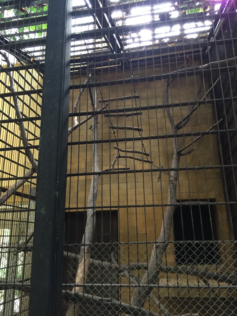 Zoo Târgu-Mures 27.08.2021.