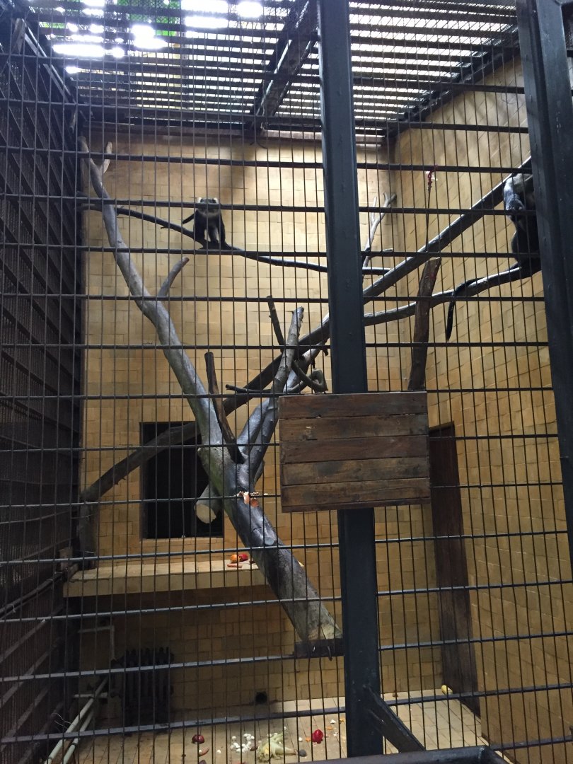 Zoo Târgu-Mures 27.08.2021.