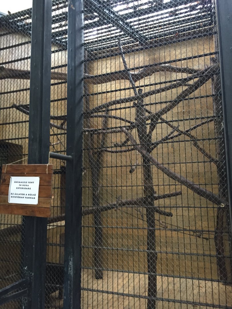 Zoo Târgu-Mures 27.08.2021.