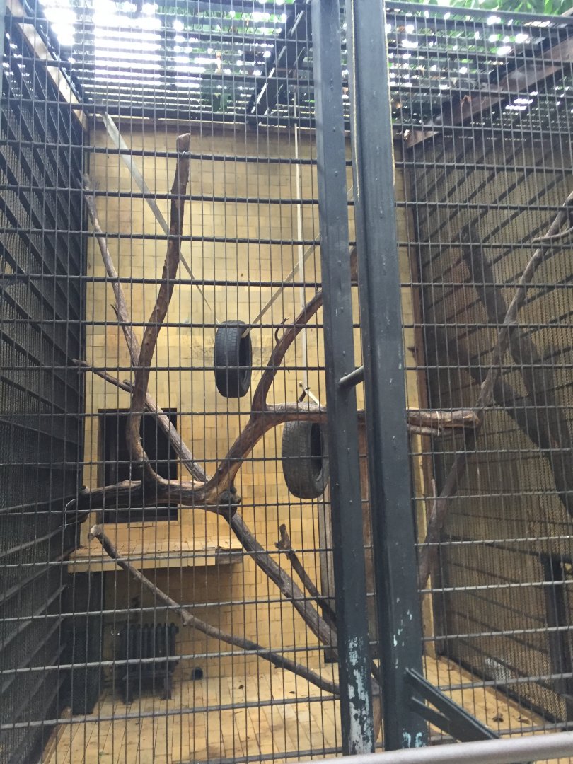 Zoo Târgu-Mures 27.08.2021.