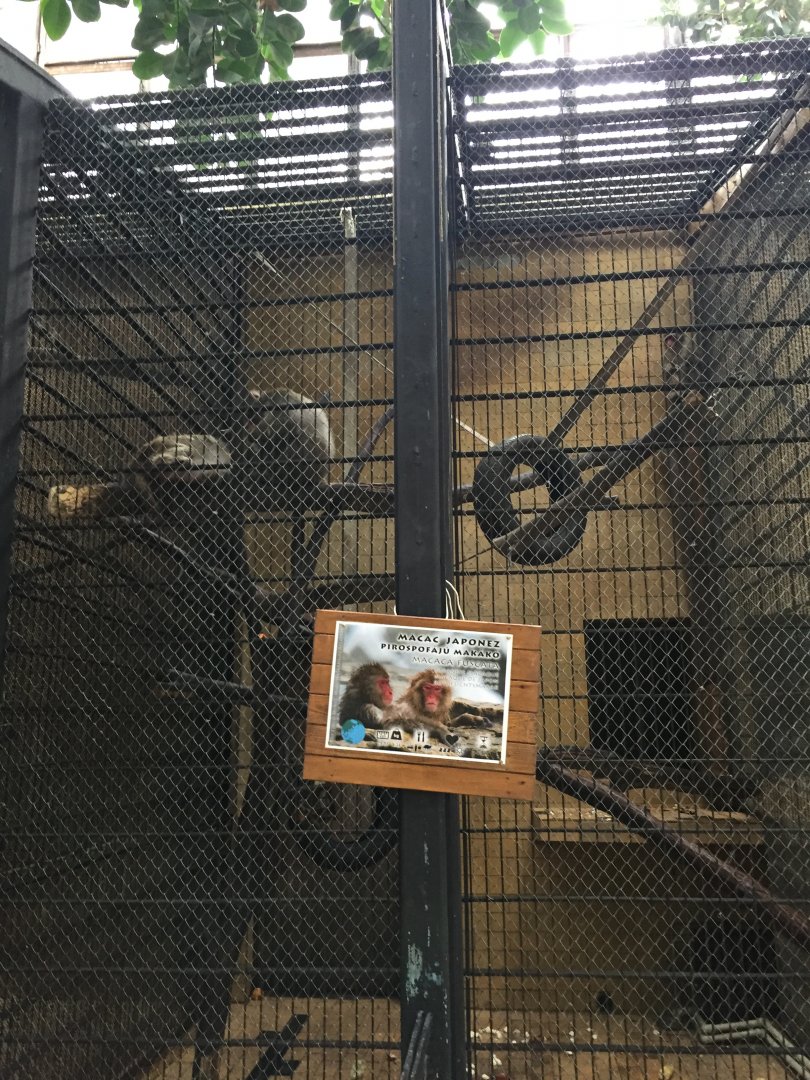 Zoo Târgu-Mures 27.08.2021.