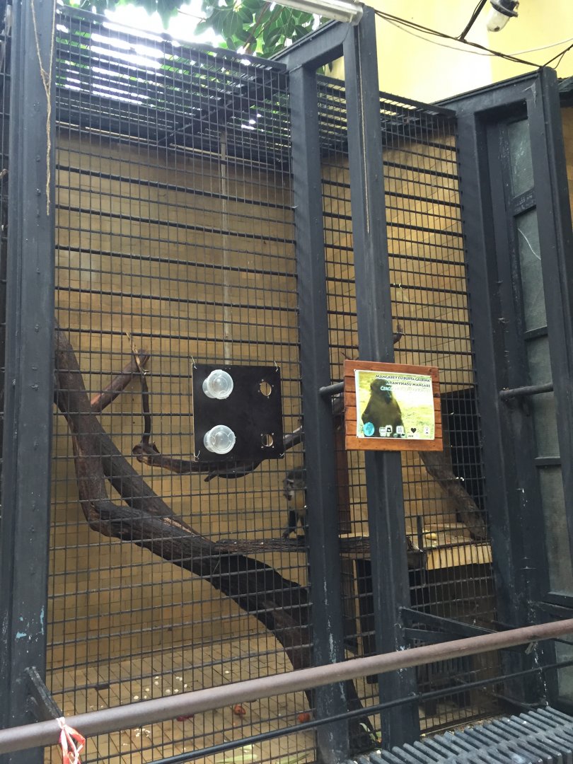 Zoo Târgu-Mures 27.08.2021.