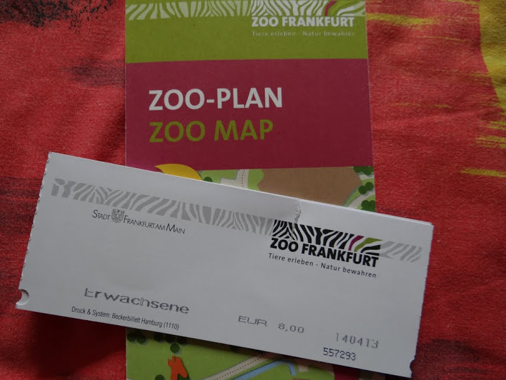 Zoo the plan and the ticket