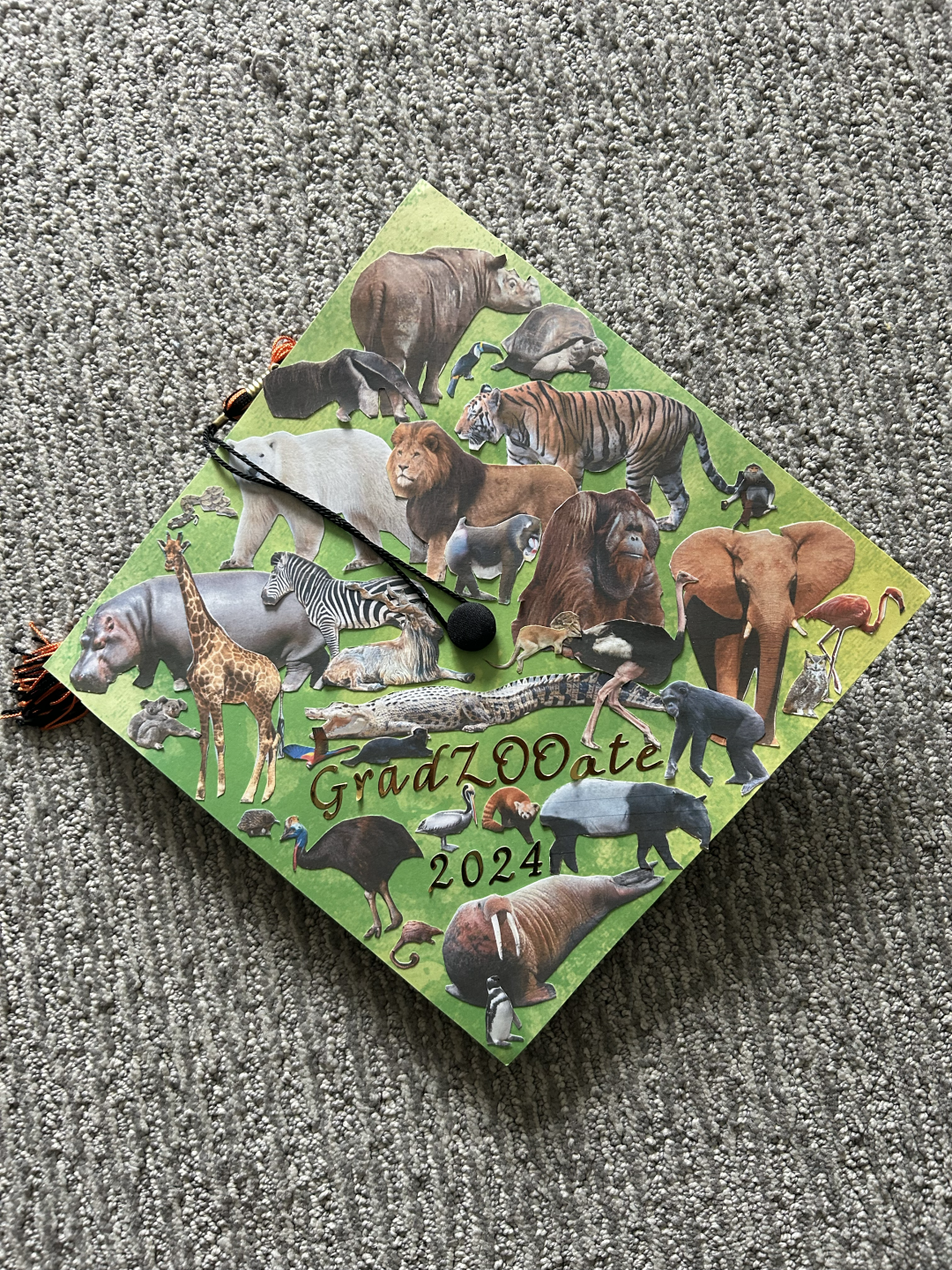Zoo Themed Grad Cap