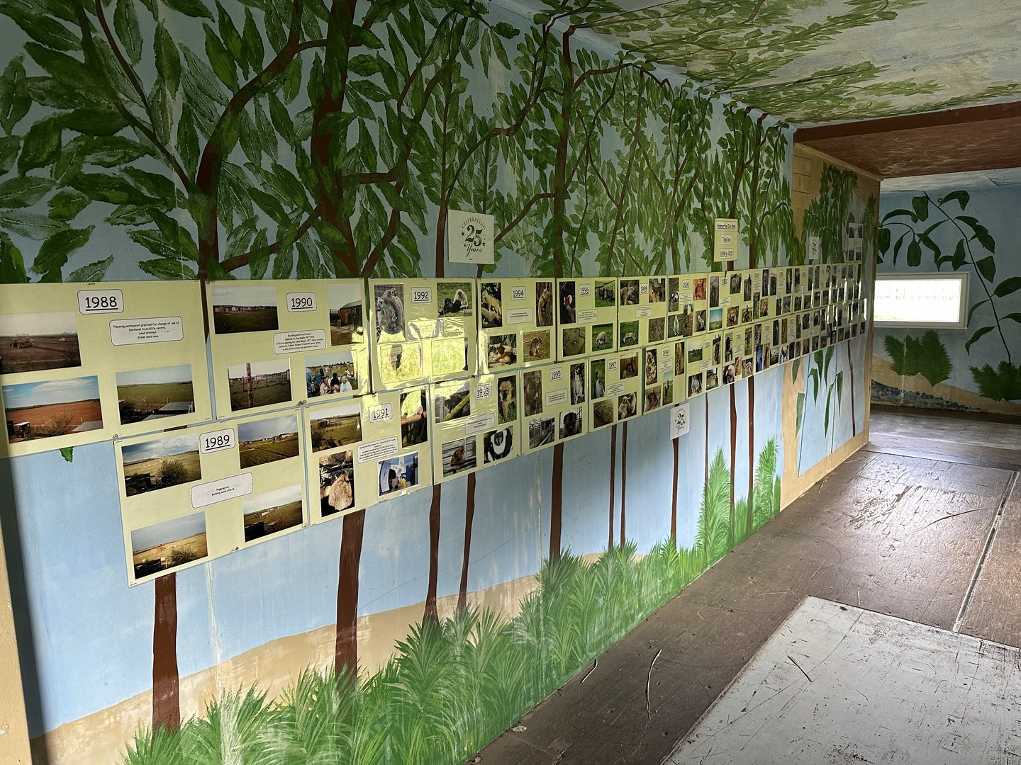 Zoo Timeline at Hamerton Zoo Park (October 2023)