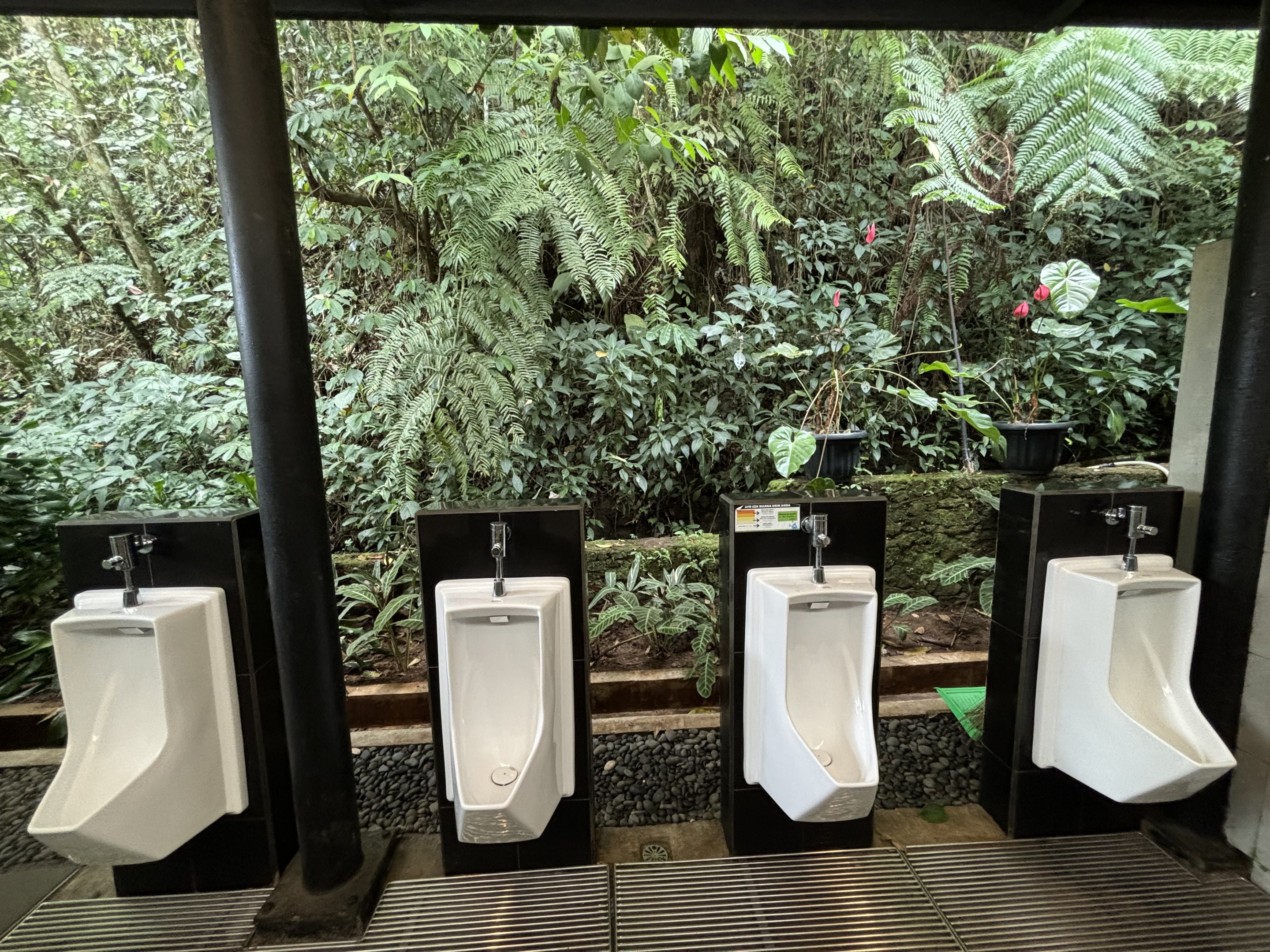 Zoo Toilets - open to the jungle!