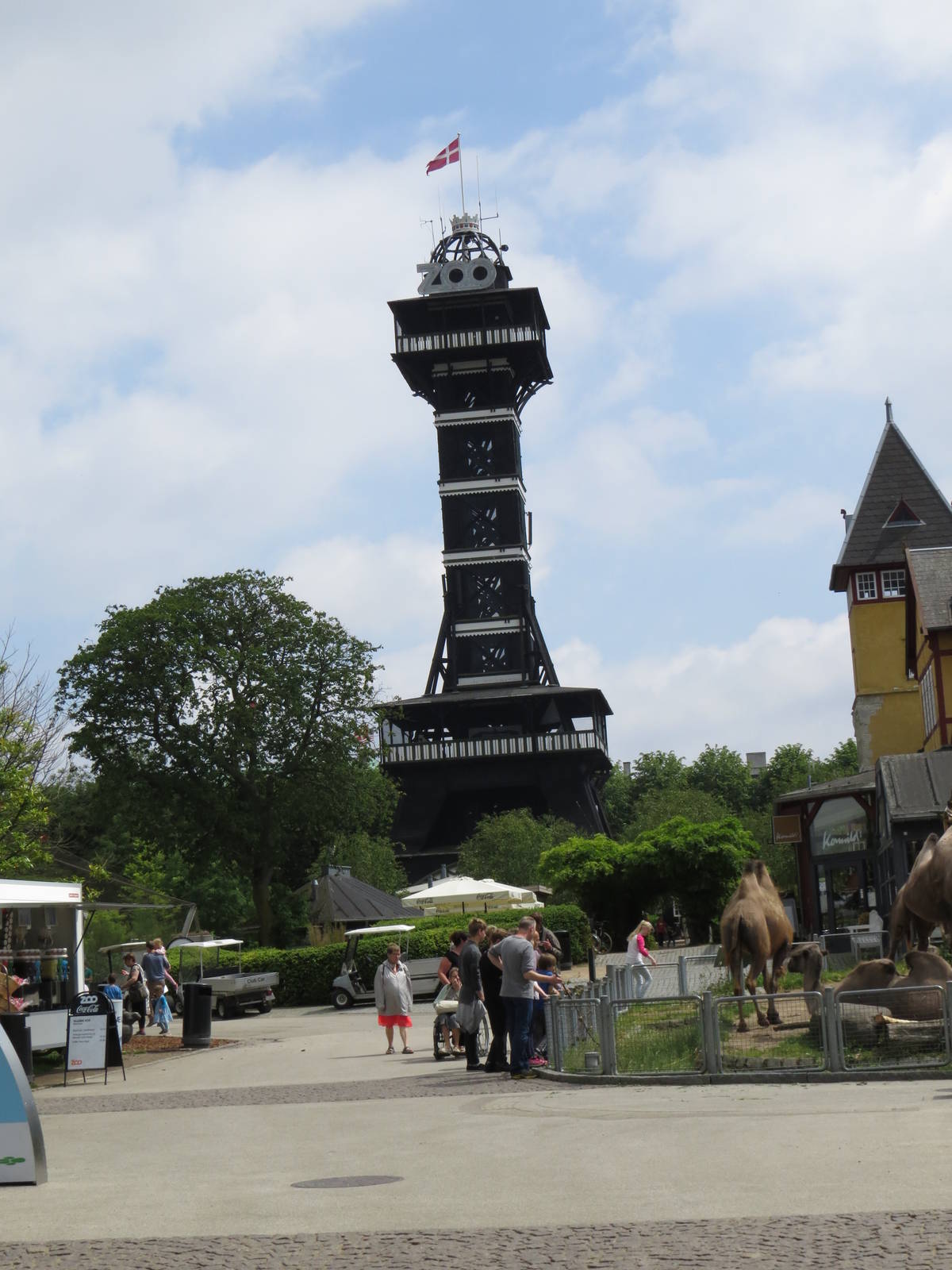 Zoo tower and camels, June 2015.
