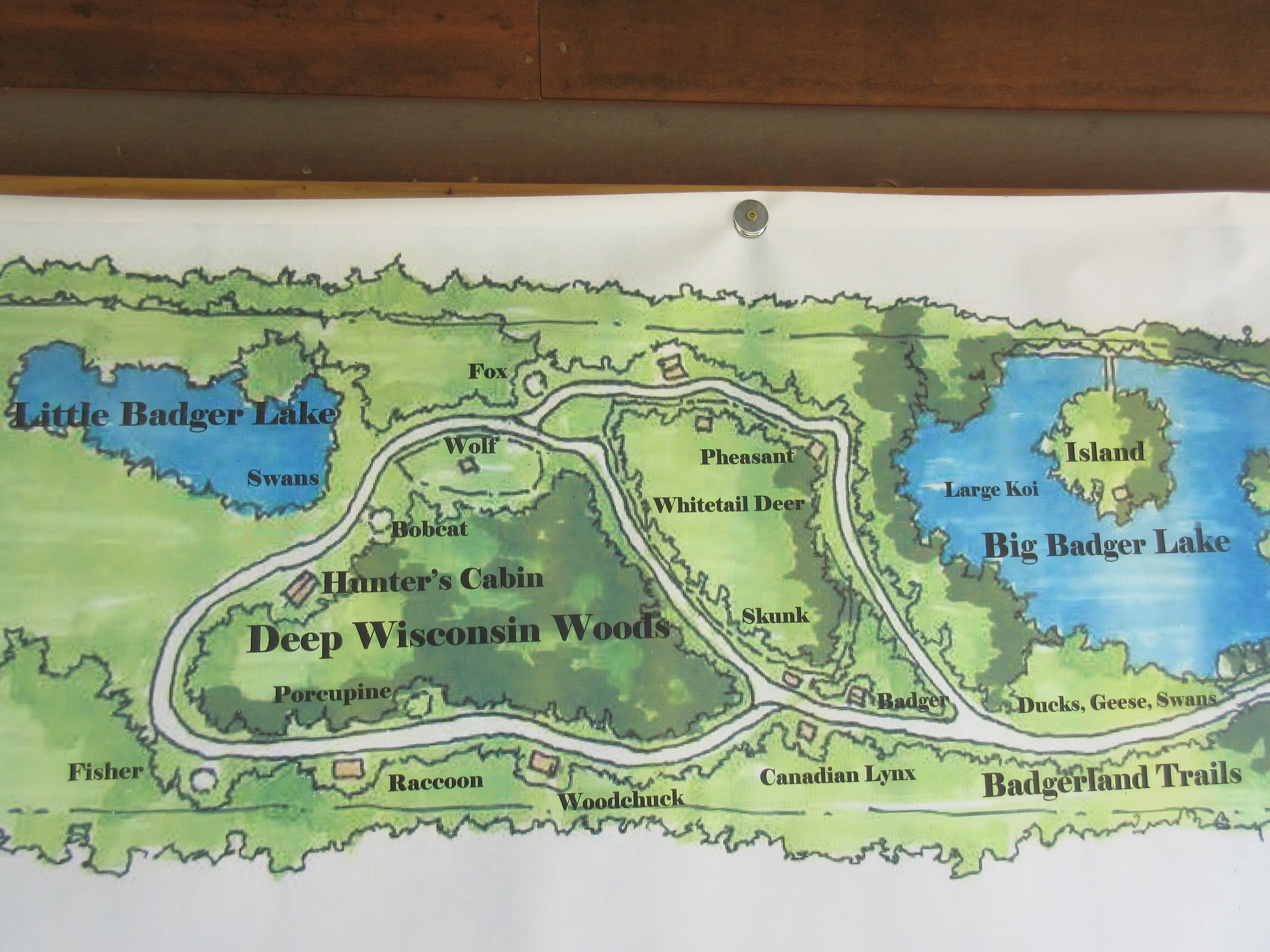 Zoo Train - Map of Route