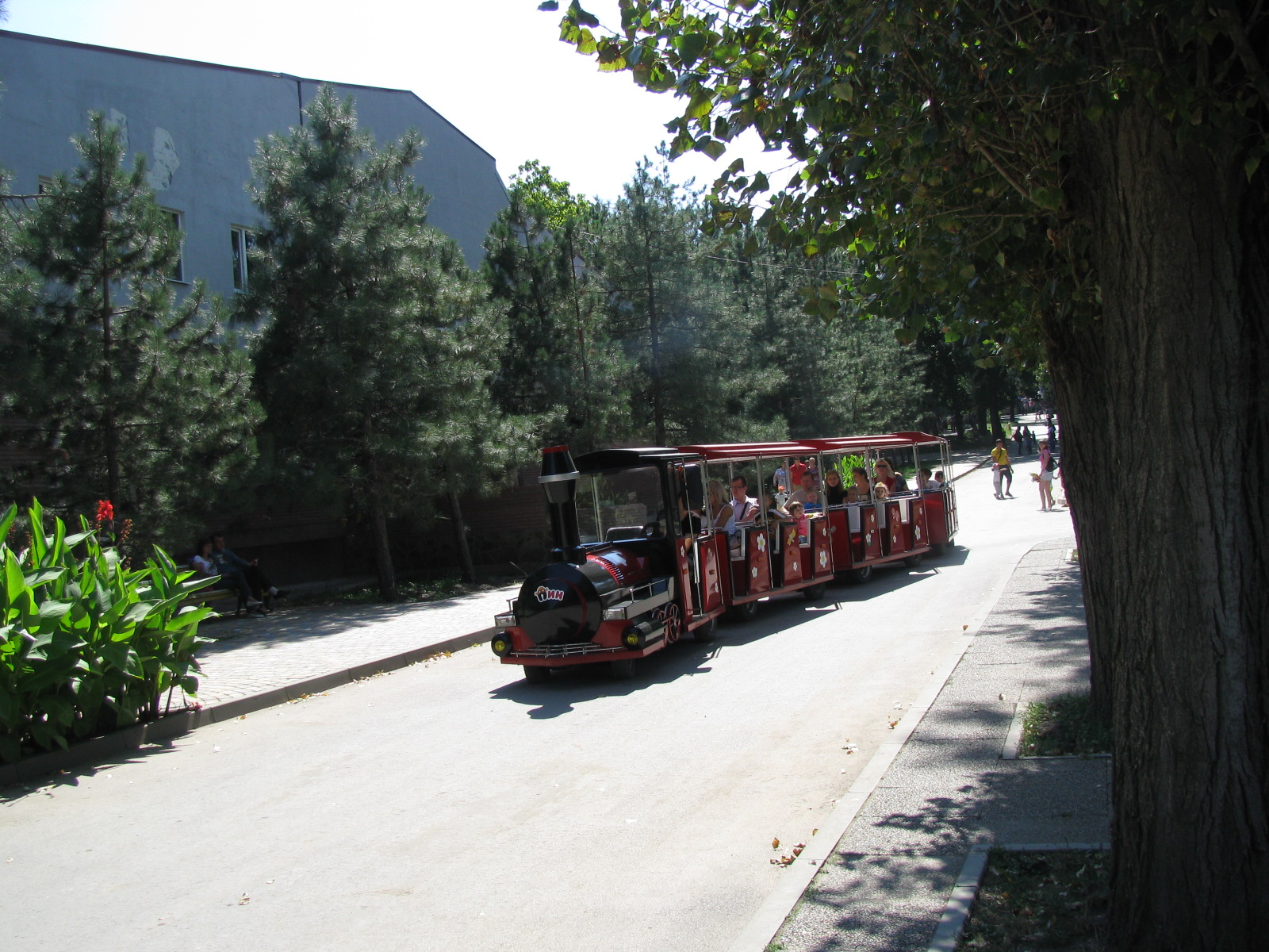 Zoo train