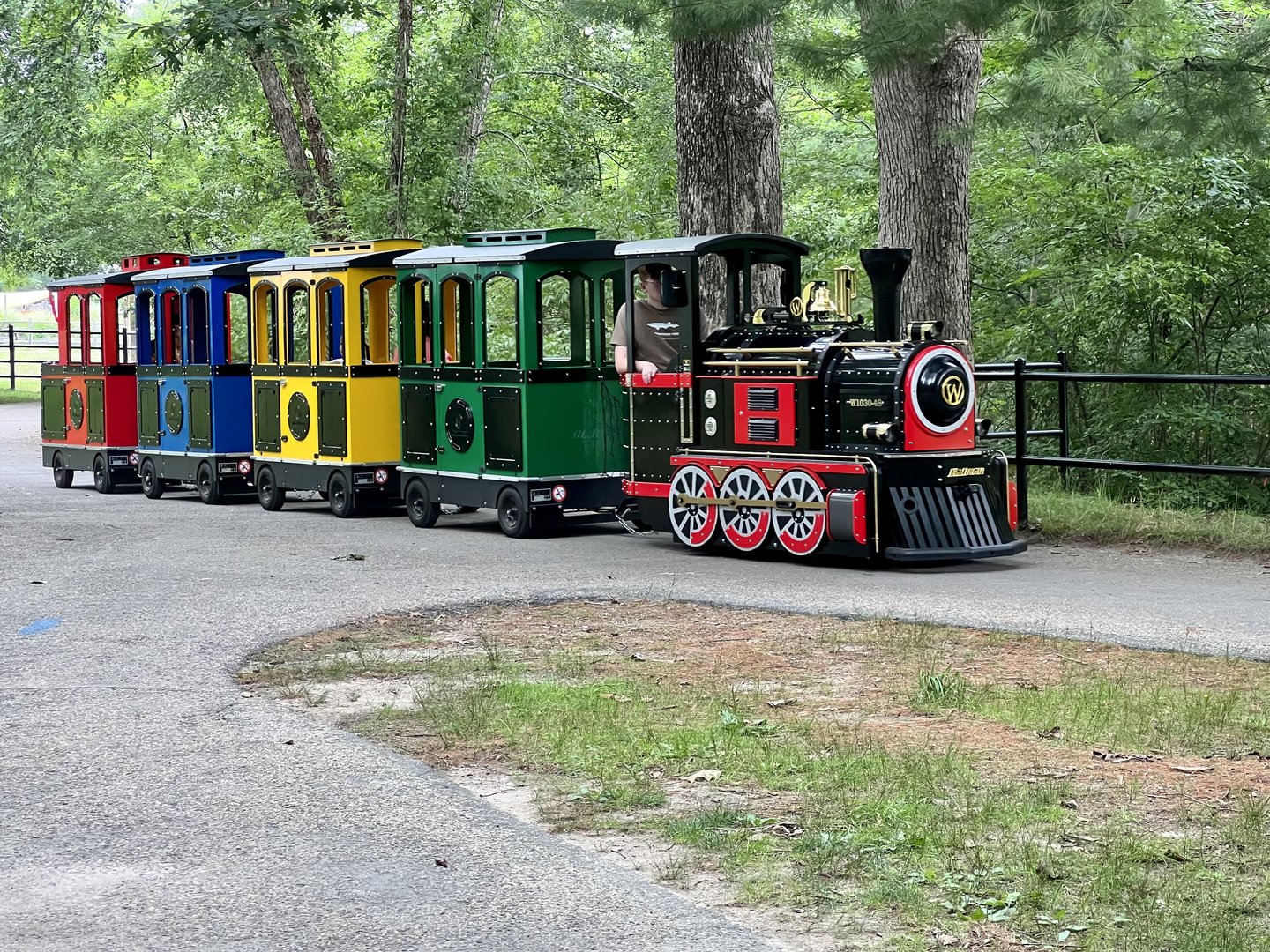 Zoo Train
