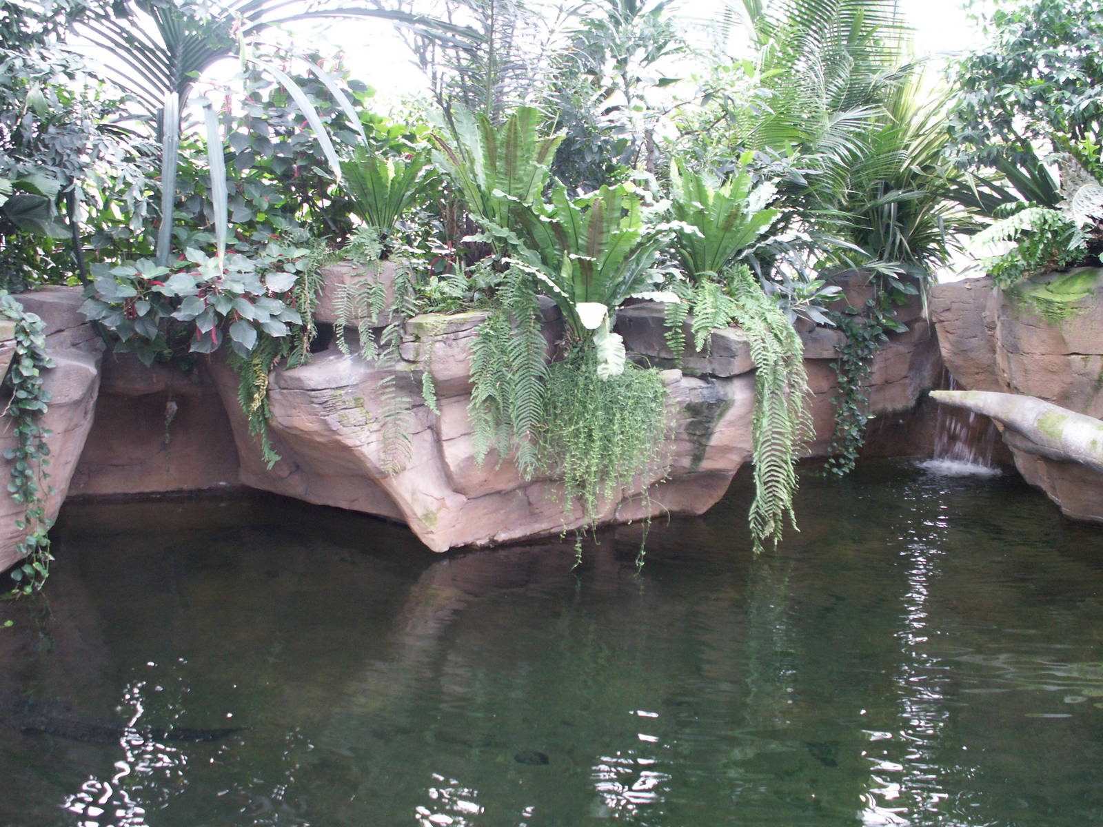 zoo trip Europe 2008