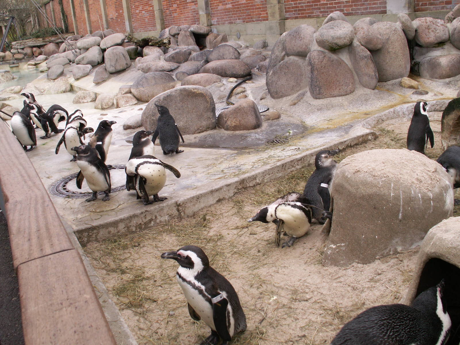 zoo trip Europe 2008