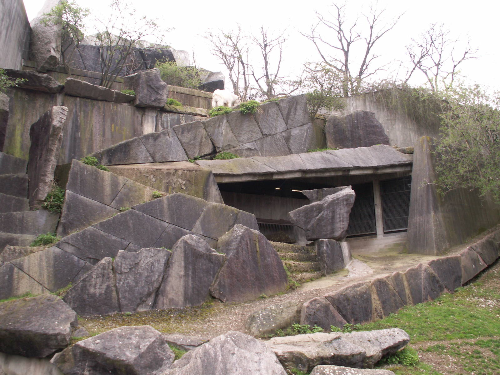 zoo trip Europe 2008