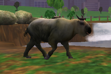 Zoo Tycoon 2 - Sichuan Takin