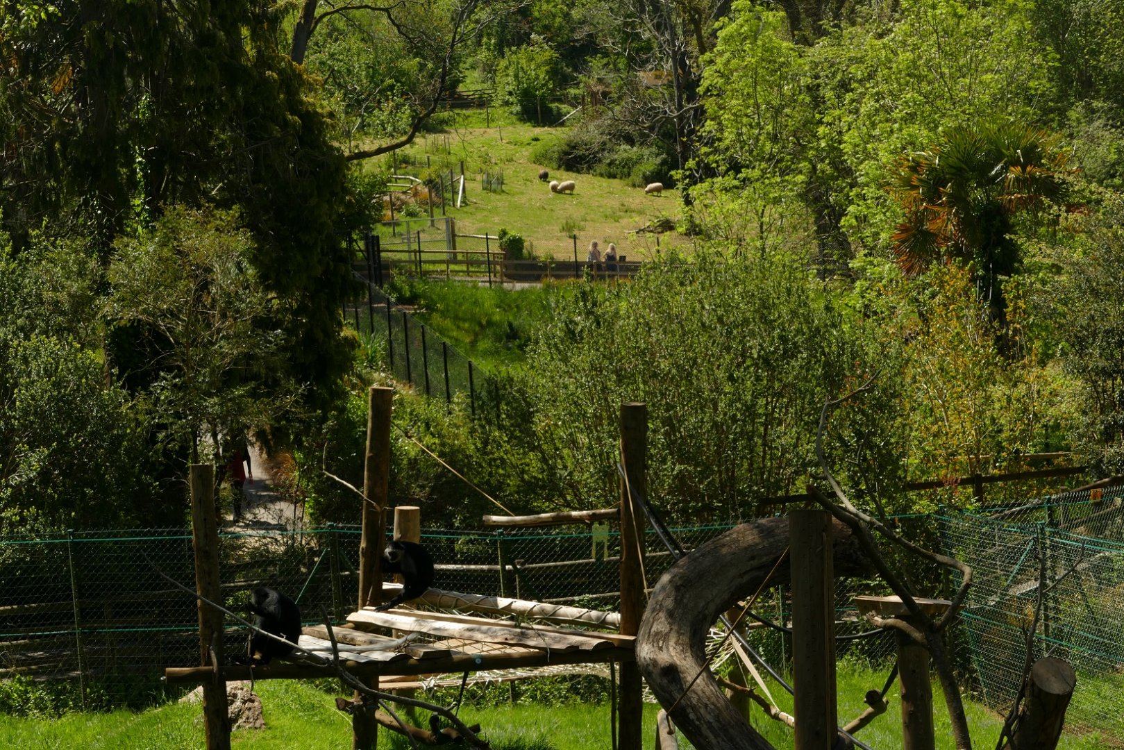 Zoo view, May 2021