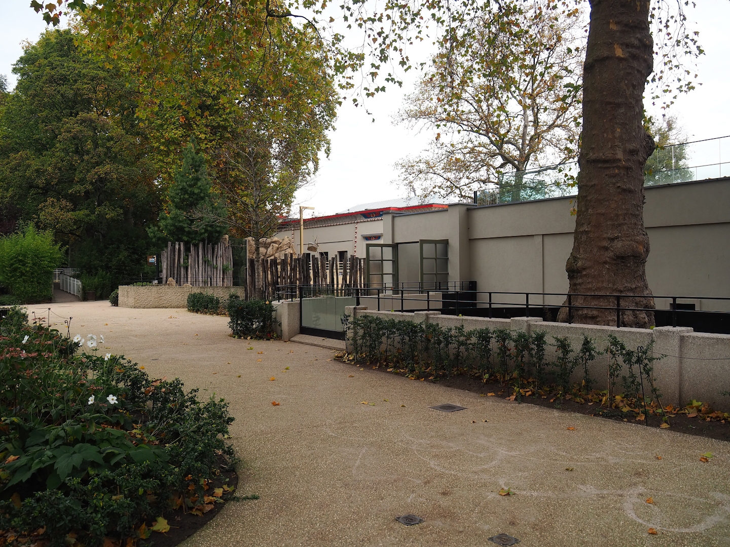 Zoo view near Yellow mongoose and Cape porcupine exhibit, 2022-10-29