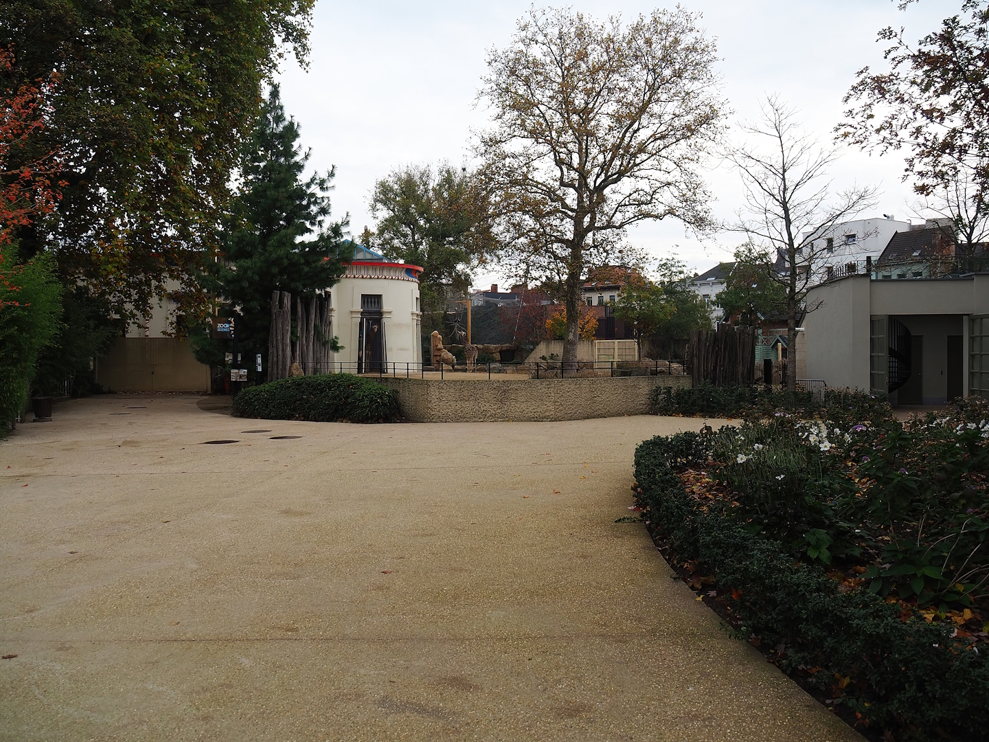 Zoo view towards giraffe paddock and access to viewing area on top of the pig house, 2022-10-29