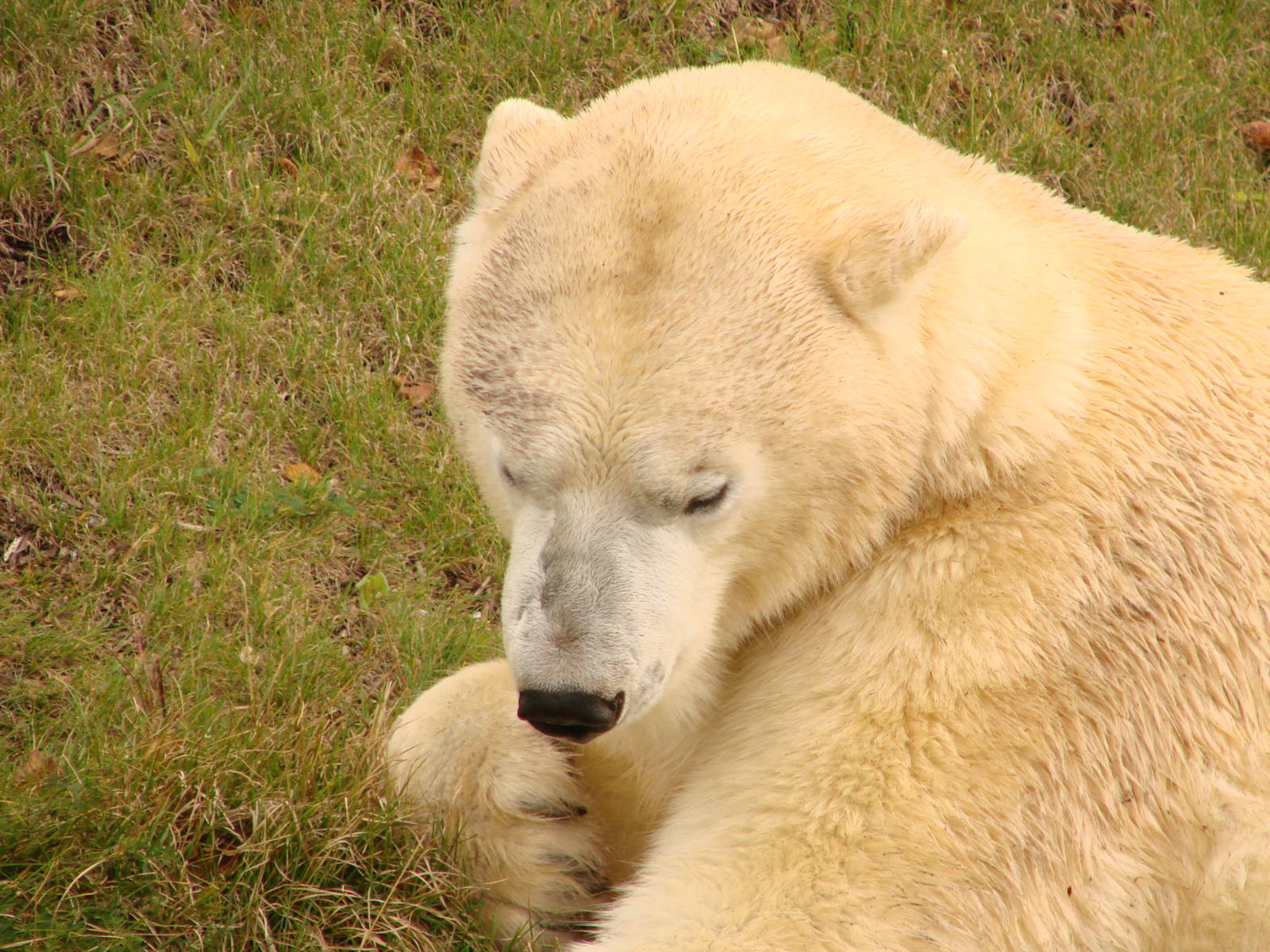 Zoo Visit - October 5th 2009