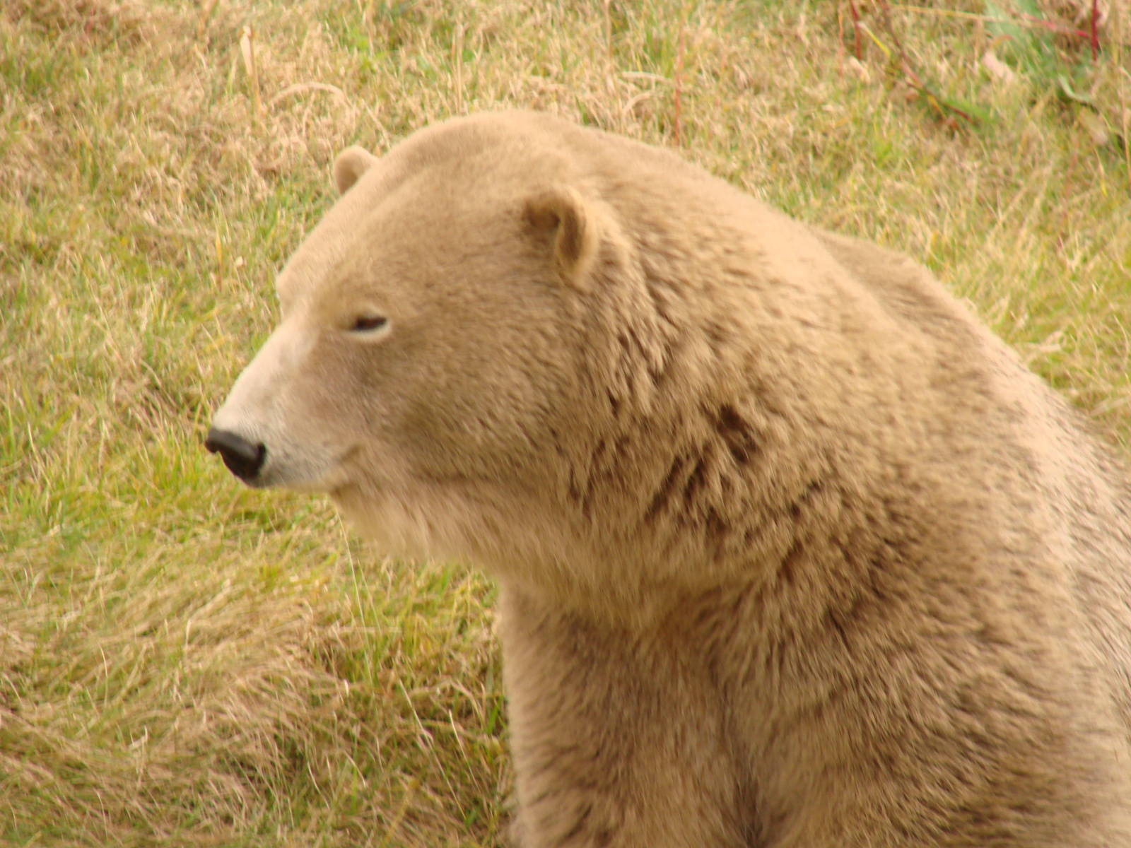Zoo Visit - October 5th 2009