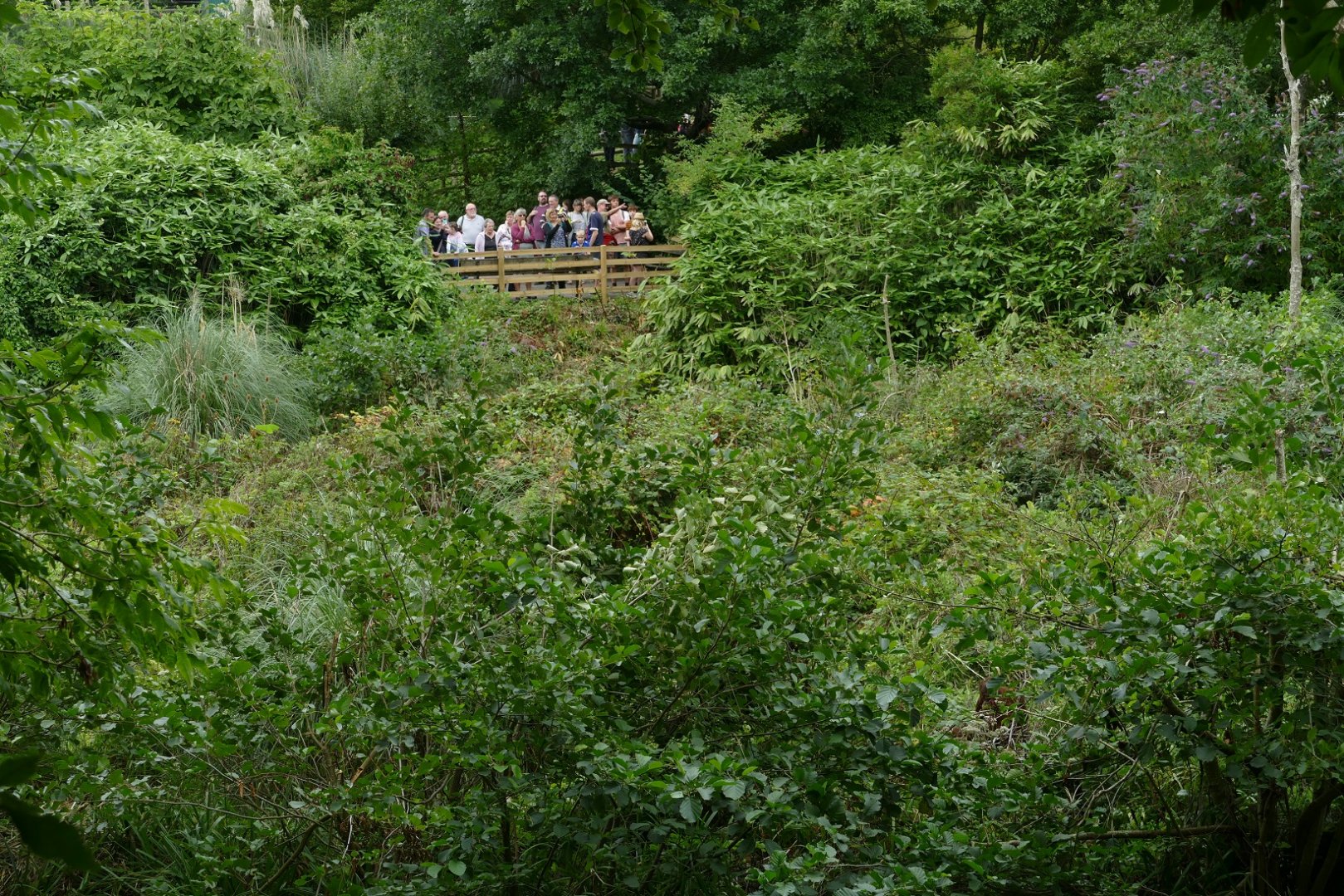 Zoo visitors, August 2018