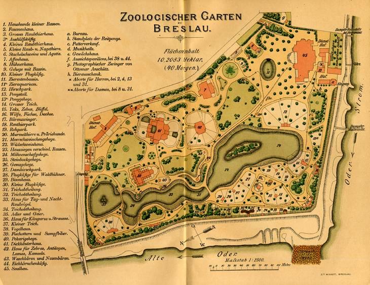 Zoo Wrocław 19..???