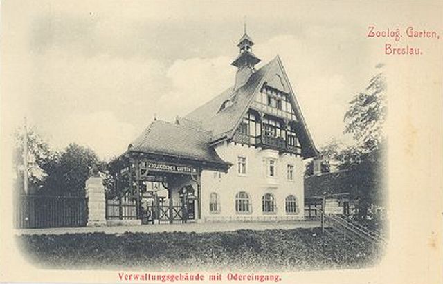 Zoo Wrocław 1900-1910