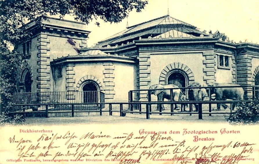 Zoo Wrocław 1920-1925