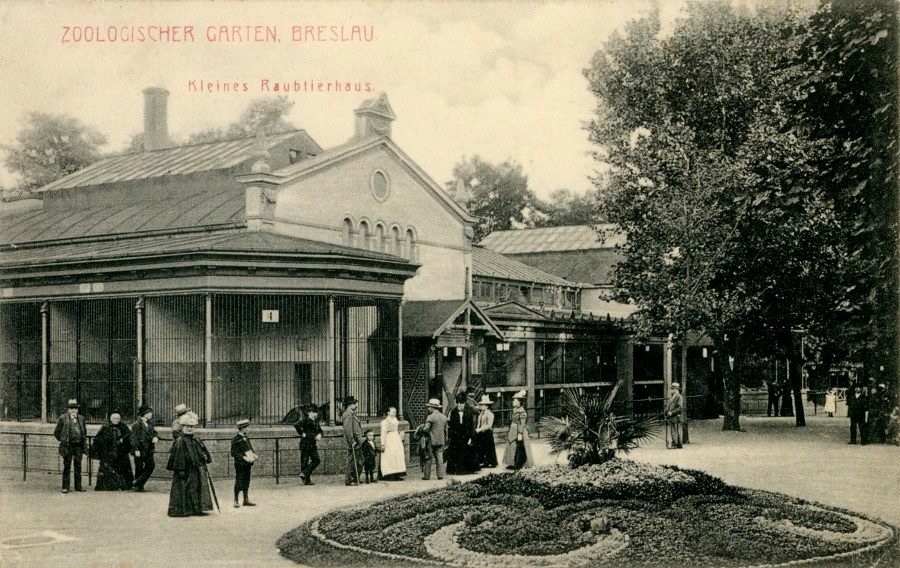 Zoo Wrocław 1920-1925