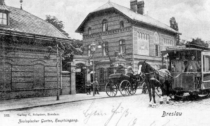 Zoo Wrocław 1920-1925