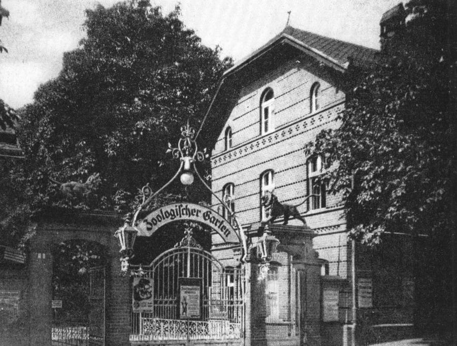 Zoo Wrocław 1920-1925