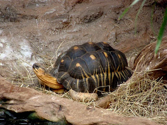 Zoo Wrocław 21.08.2011