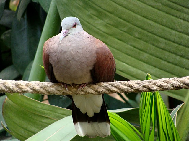 Zoo Wrocław 21.08.2011
