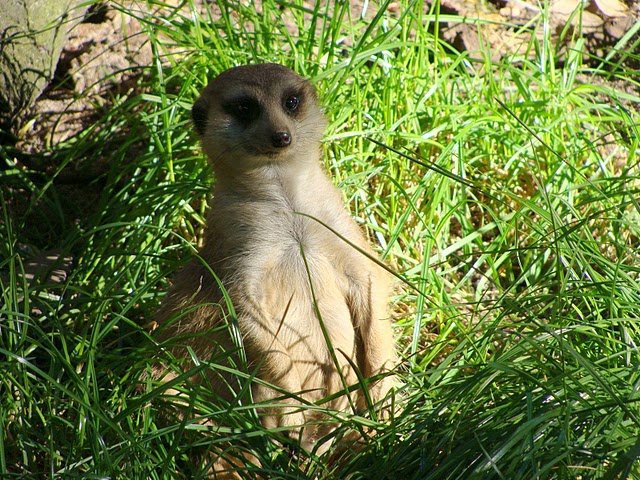 Zoo Wrocław 21.08.2011