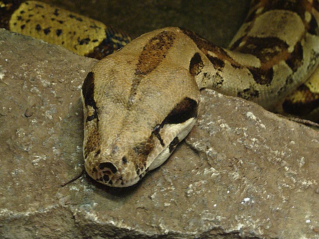 Zoo Wrocław 21.08.2011