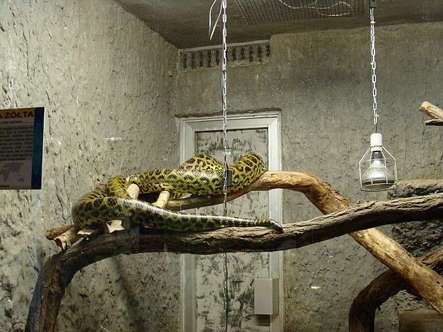 Zoo Wrocław 21.08.2011