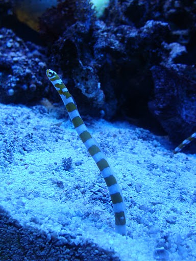 Zoo Wrocław 21.08.2011