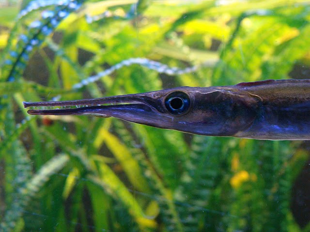 Zoo Wrocław 21.08.2011