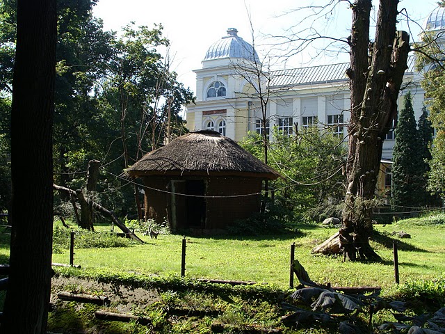 Zoo Wrocław 21.08.2011