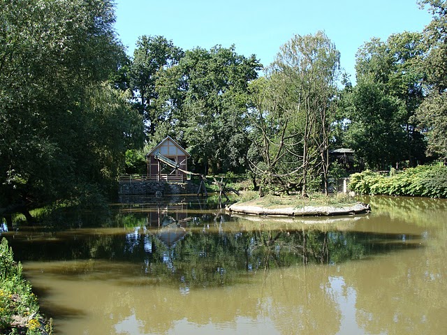 Zoo Wrocław 21.08.2011
