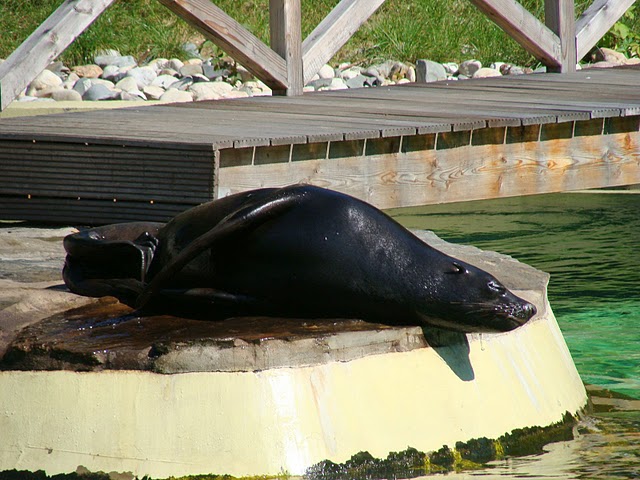 Zoo Wrocław 21.08.2011
