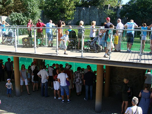 Zoo Wrocław 21.08.2011