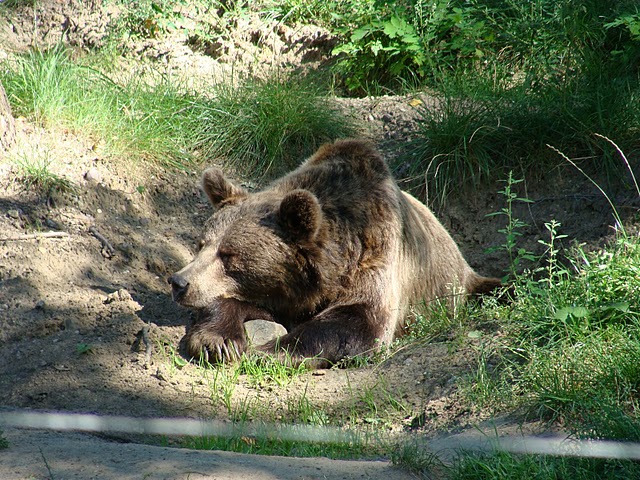 Zoo Wrocław 21.08.2011