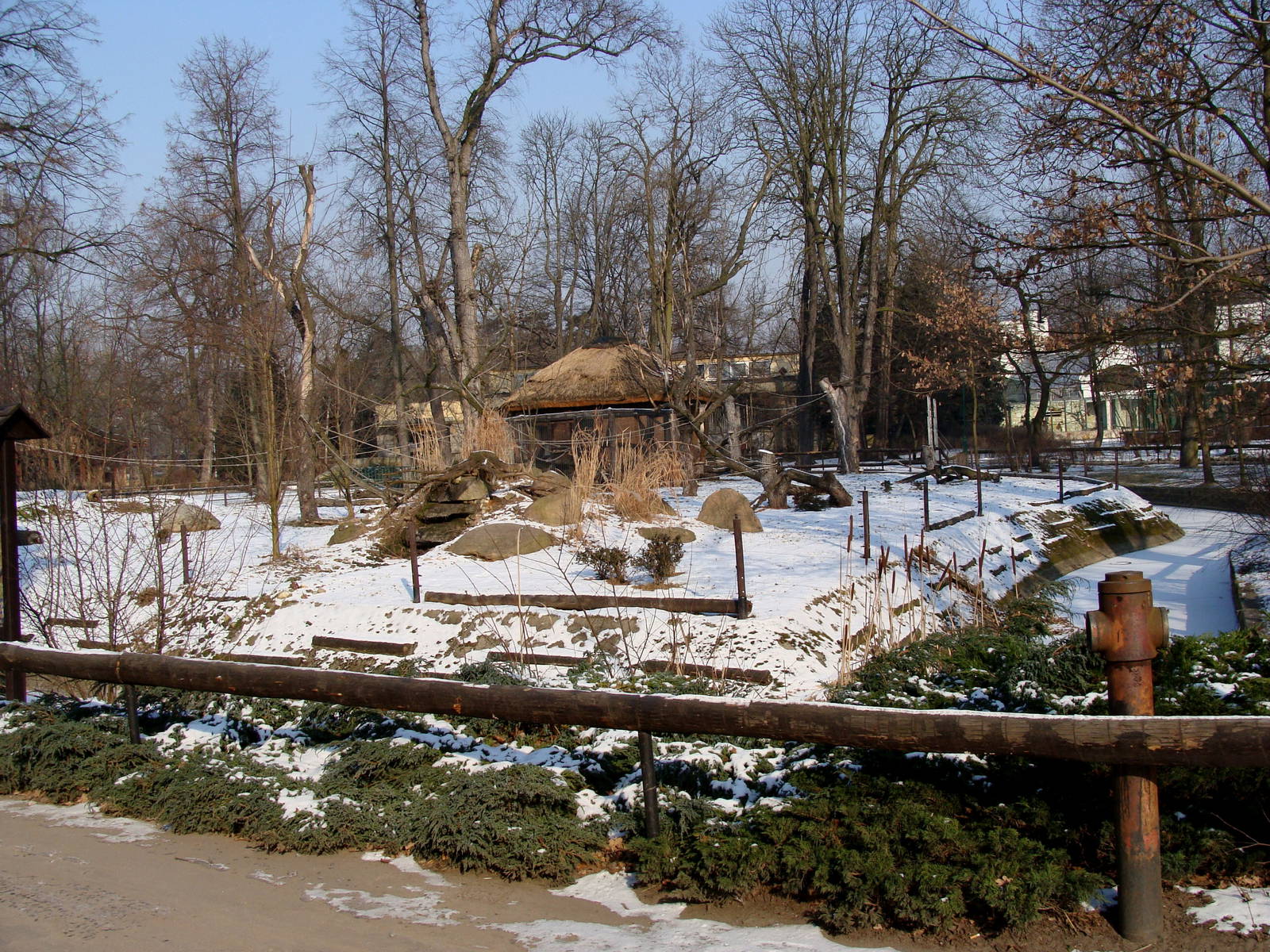 Zoo Wrocław 23.02.2011