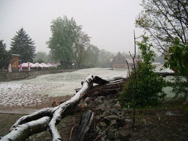 Zoo Wrocław - 3.05.2011 - WINTER