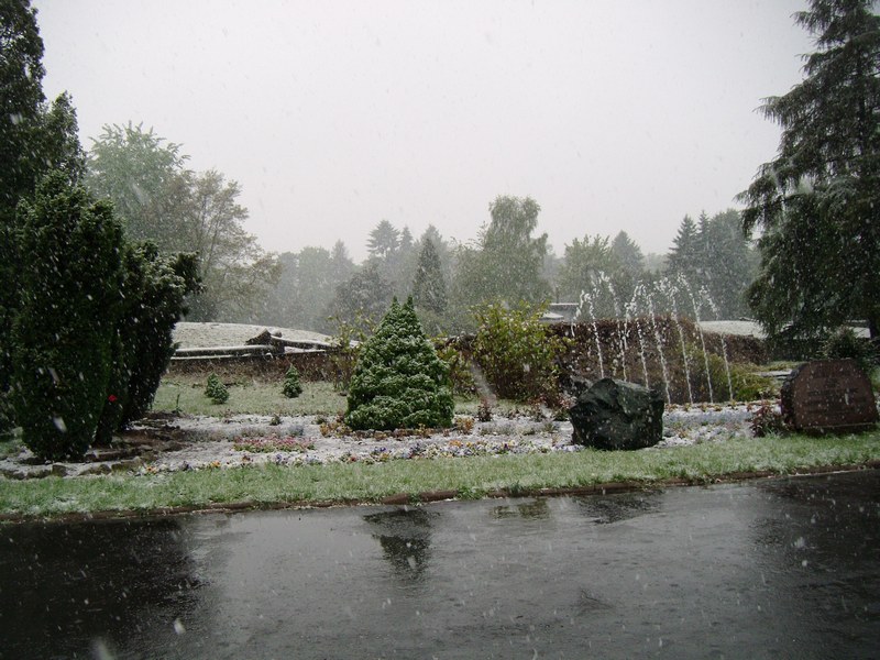 Zoo Wrocław - 3.05.2011 - WINTER